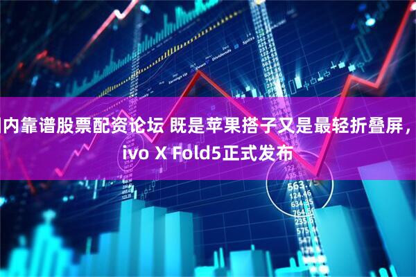 国内靠谱股票配资论坛 既是苹果搭子又是最轻折叠屏，vivo X Fold5正式发布