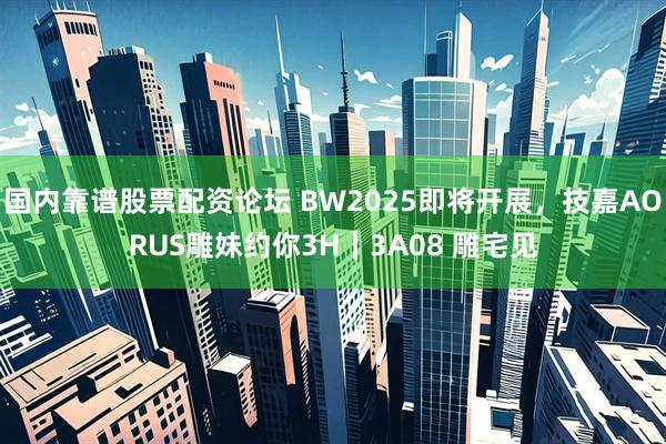 国内靠谱股票配资论坛 BW2025即将开展，技嘉AORUS雕妹约你3H｜3A08 雕宅见