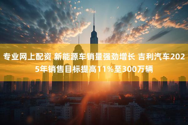 专业网上配资 新能源车销量强劲增长 吉利汽车2025年销售目标提高11%至300万辆